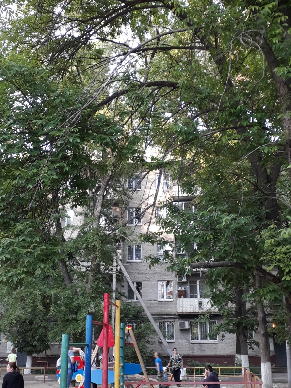 В Заводском районе деревья опасно нависли над детской площадкой