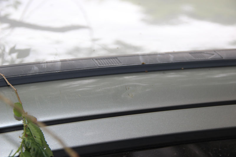 В центре Саратова «Дэу» придавила ветка дерева