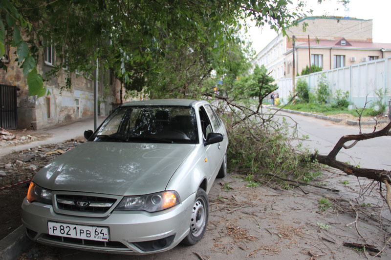 В центре Саратова «Дэу» придавила ветка дерева
