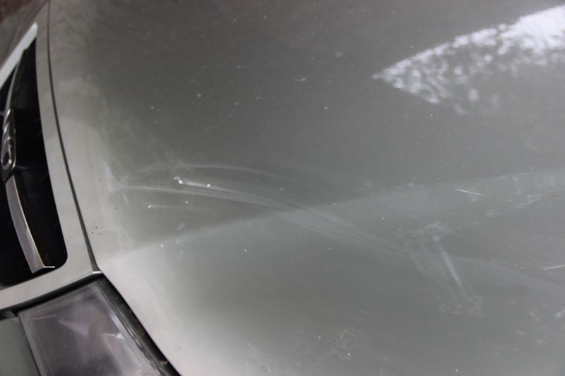 В центре Саратова «Дэу» придавила ветка дерева