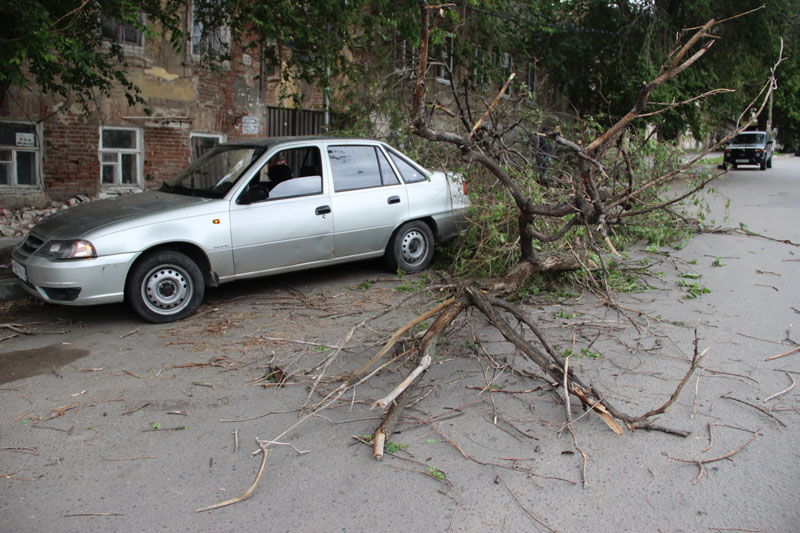 В центре Саратова «Дэу» придавила ветка дерева