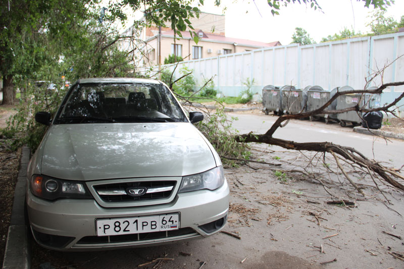 В центре Саратова «Дэу» придавила ветка дерева