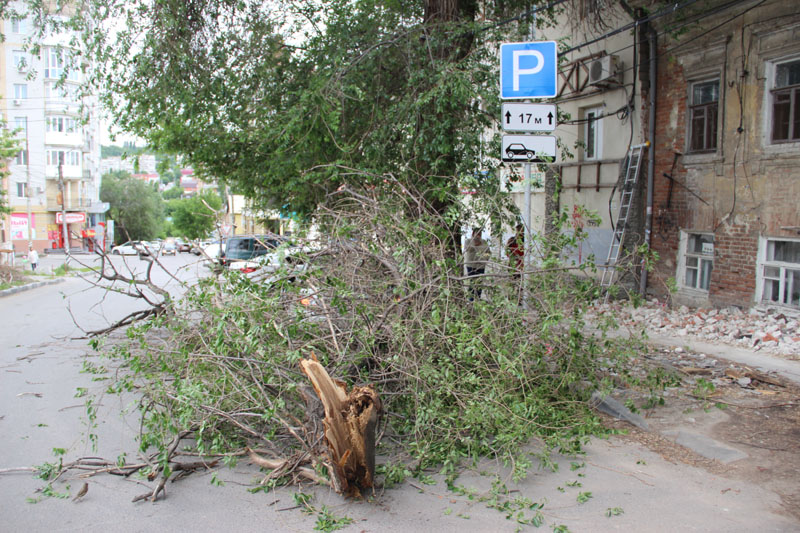 В центре Саратова «Дэу» придавила ветка дерева