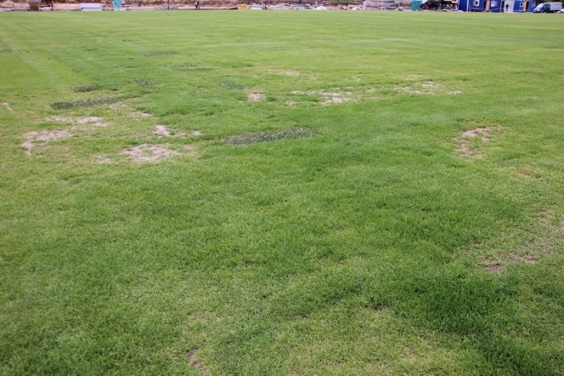 Стадион «Авангард» будет полностью готов к зиме