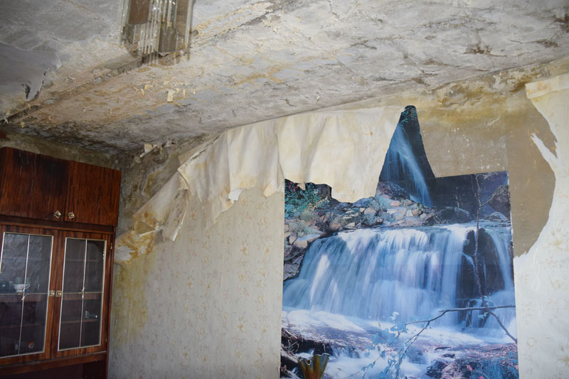 Грустная женщина. Почему дом плачет. Бездомные животные и человек. Девушка плачет дома. Дочь в деревне.