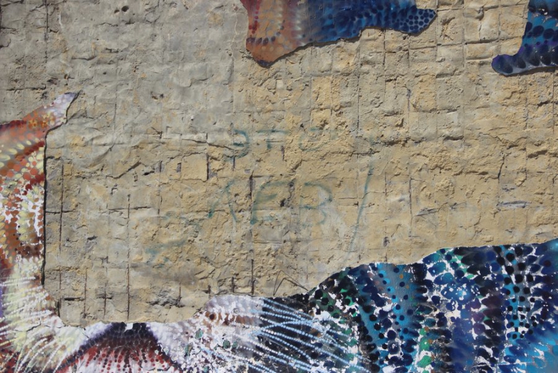 Граффити на саратовской набережной могут замазать к концу июня