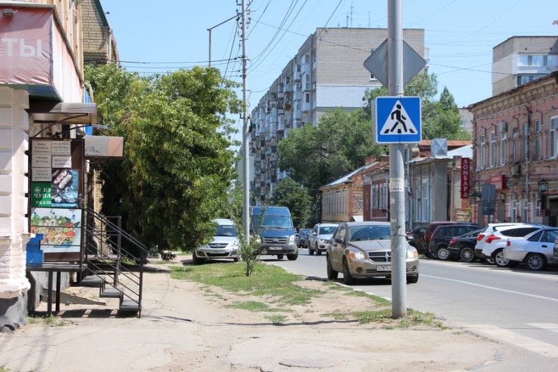 В центре Саратова сломанная ветка дерева перегородила тротуар