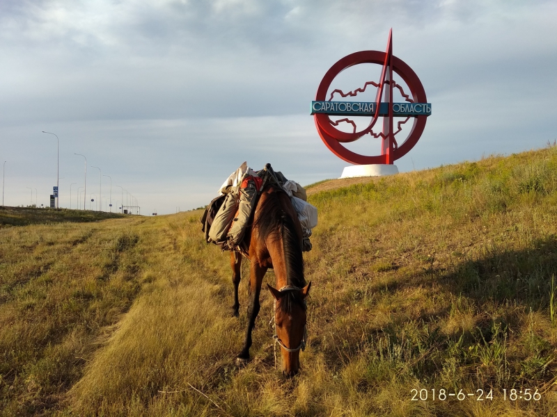Китаец на коне по дороге в Мурманск заехал в Саратов