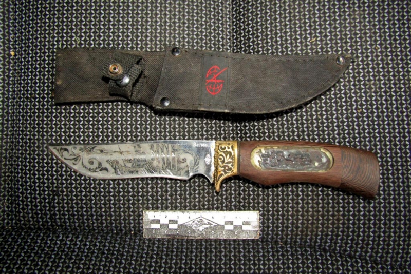 В Марксе задержали двоих подозреваемых в убийстве оленя и косули