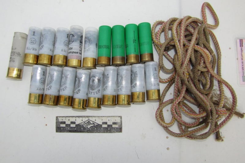 В Марксе задержали двоих подозреваемых в убийстве оленя и косули