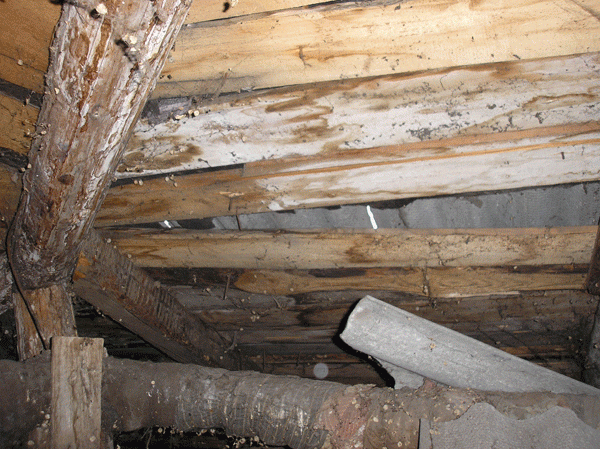 Жители Хвалынска грозятся бойкотировать выборы