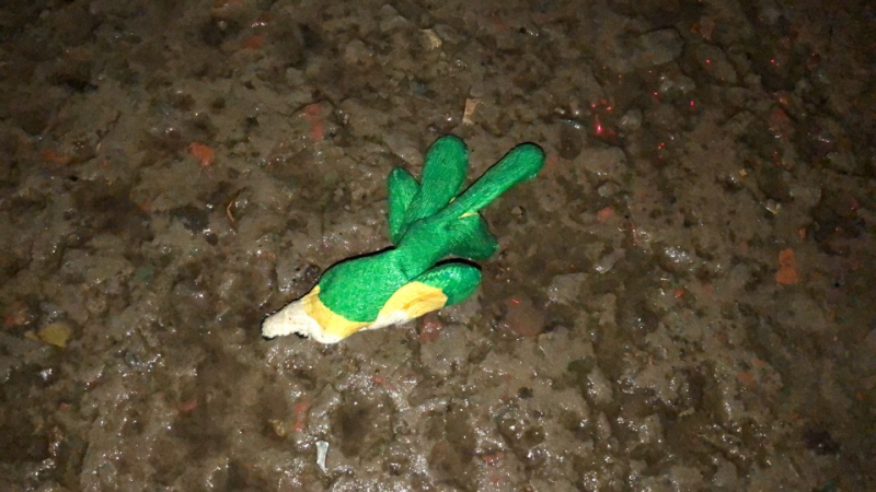 У саратовского блогера сожгли автомобиль после опубликования видео с дорожными разборками