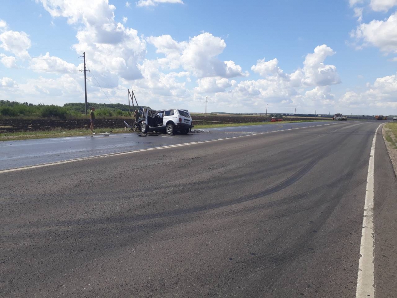 В столкновении «Нивы» и «Лэнд Ровера» под Балашовом пострадали 4 детей и 2 взрослых