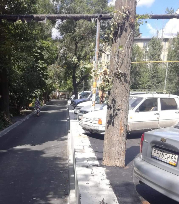 В Ленинском районе во дворе деревья закатали в асфальт