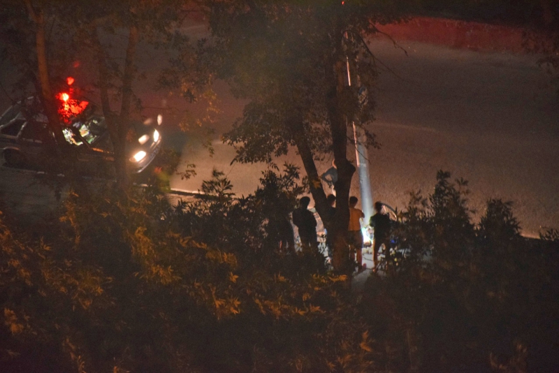 На Шелковичной велосипедист врезался в столб и погиб