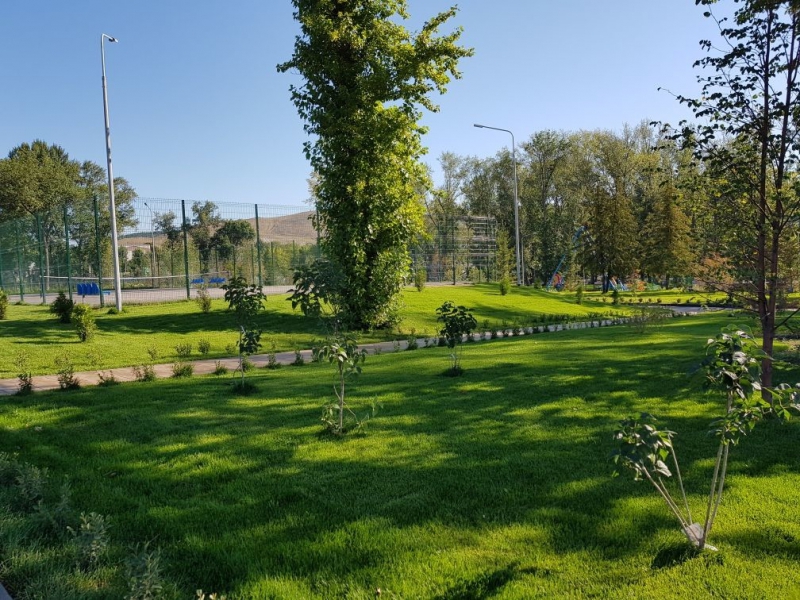 Николай Панков: Володин поговорит с общественниками о развитии Вольска