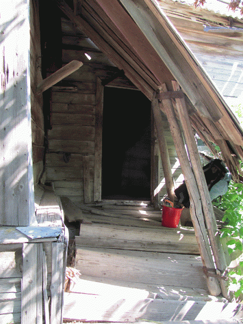 Блогер Варламов назвал «Дом со львом» уникальным и собирает деньги на его реконструкцию