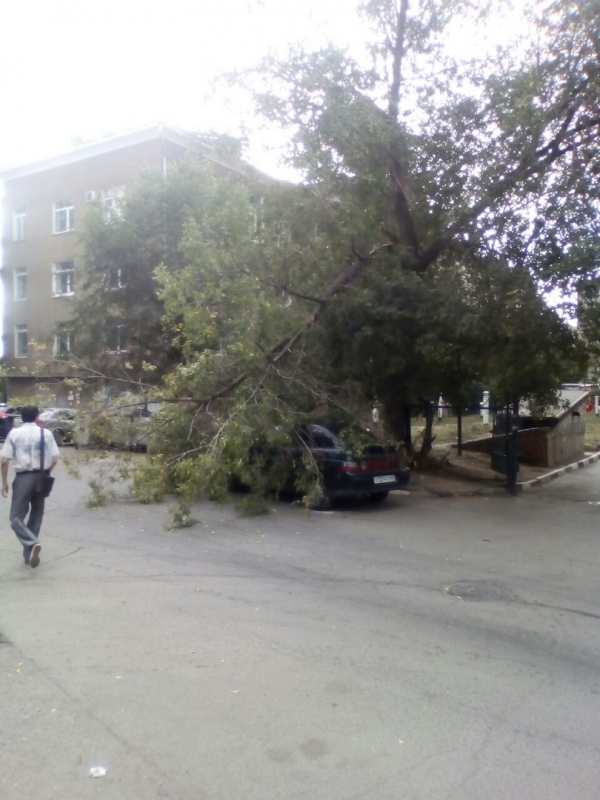 На Мичурина огромная ветка свалилась на припаркованный «ВАЗ»