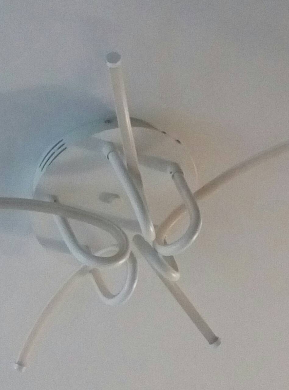 Госжилинспекция проверит в Ленинском районе дом с огромным количеством мокриц