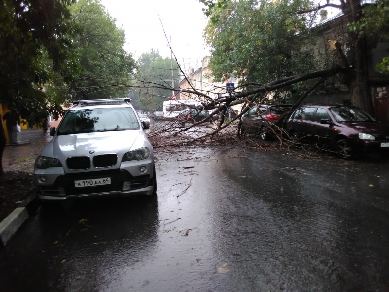 На Соборной дерево повредило три машины и перегородило дорогу