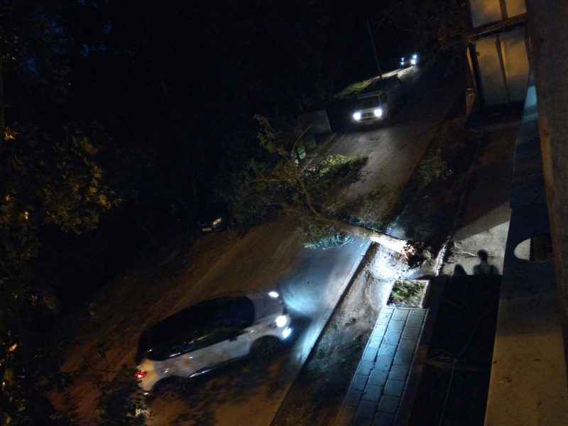 На Международной дерево упало на автомобиль и перегородило дорогу