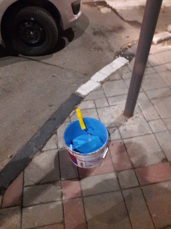 В Саратове мужчина разукрашивал «зебры» в «веселые» и «заметные» цвета