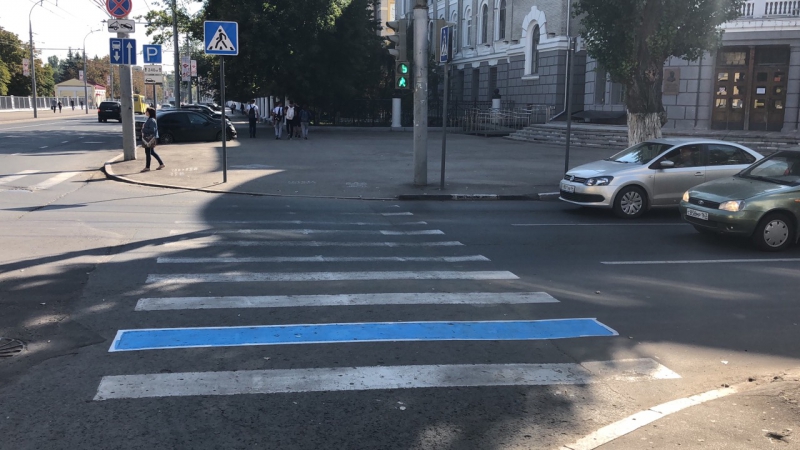 В Саратове мужчина разукрашивал «зебры» в «веселые» и «заметные» цвета