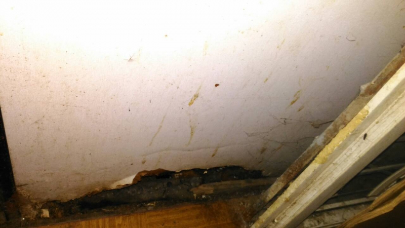 Погорелец из дома на Аткарской: Власти предлагают нам квартиры, где невозможно жить