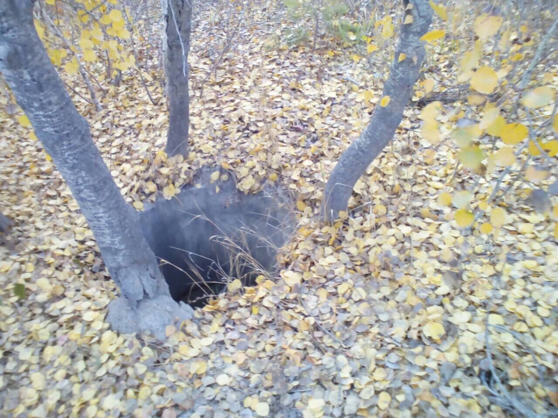 Труп пропавшего Валерия Лаврентьева нашли в сточном колодце