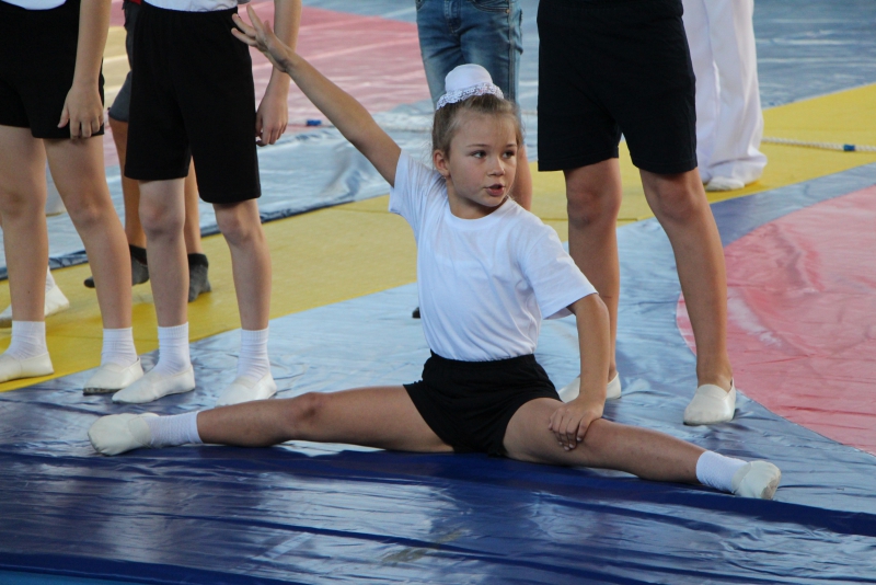 В Базарном Карабулаке шла борьба между школьниками из Саратовской области и пяти регионов России