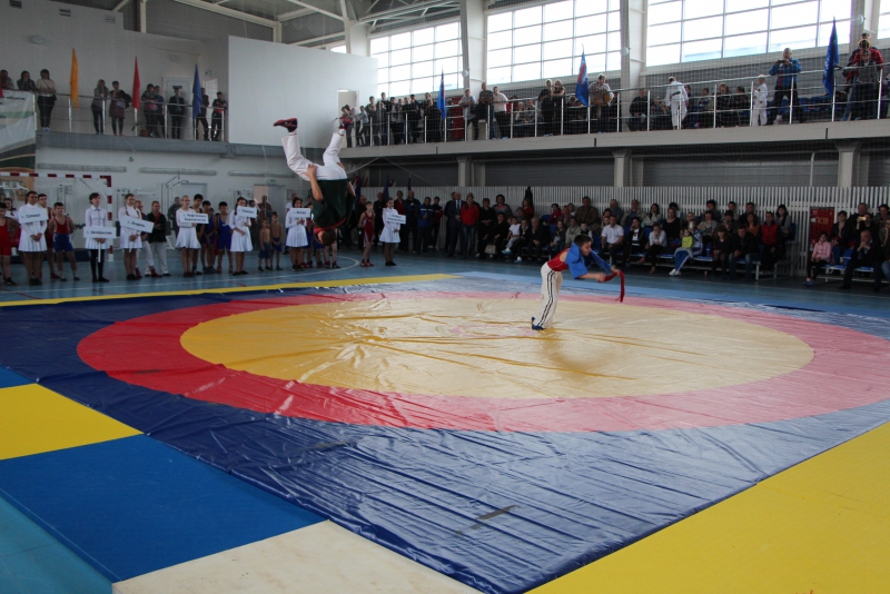 В Базарном Карабулаке шла борьба между школьниками из Саратовской области и пяти регионов России