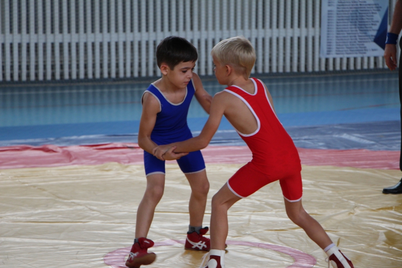 В Базарном Карабулаке шла борьба между школьниками из Саратовской области и пяти регионов России