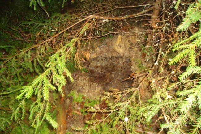 Саратовские полицейские провели операцию в Ленинградской области