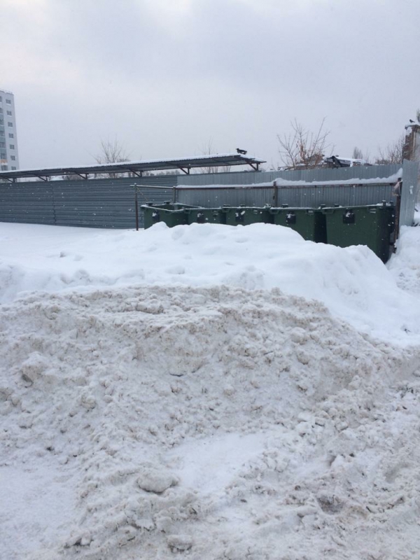 Мусоровывозящие компании ведут оперативную зачистку разблокированных от снега контейнерных площадок