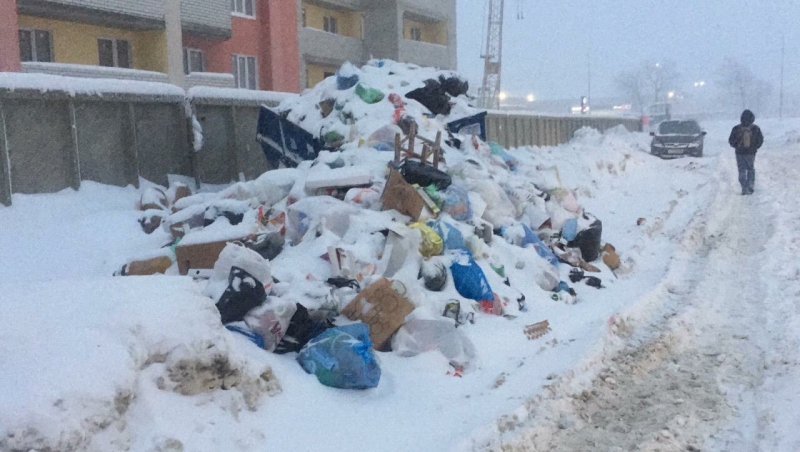 Мусоровывозящие компании ведут оперативную зачистку разблокированных от снега контейнерных площадок