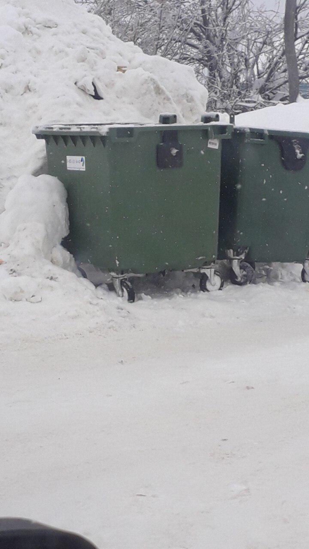 Регоператор: Штрафы за не вывезенный вовремя мусор пойдут в муниципальный бюджет