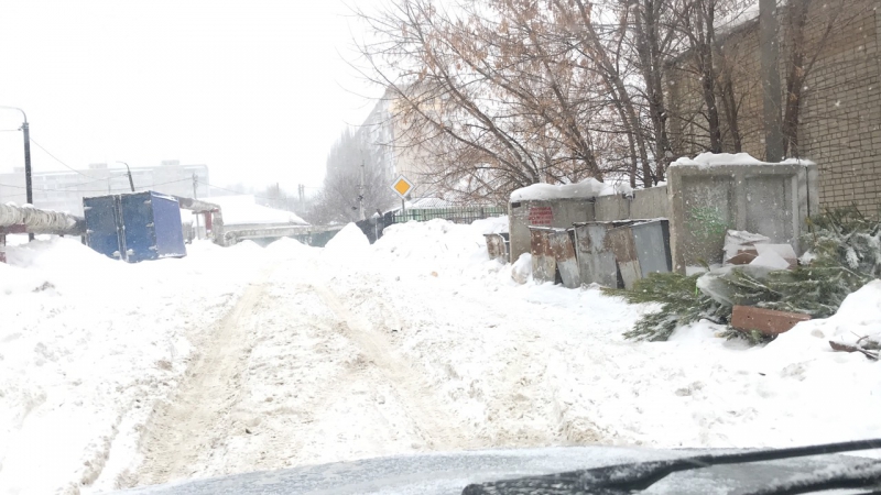 Регоператор: Все елки будут вывезены мусоровывозящими компаниями