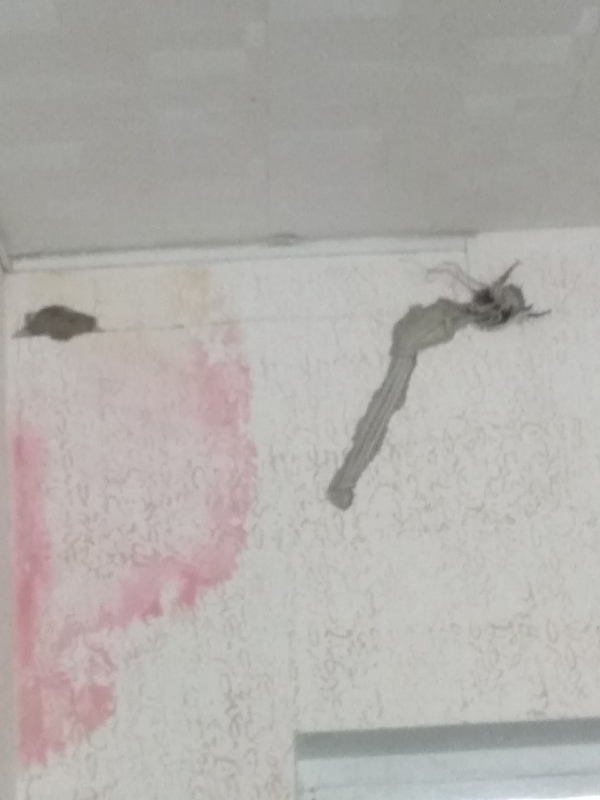 В Раскове залило школу после таяния снега на крыше