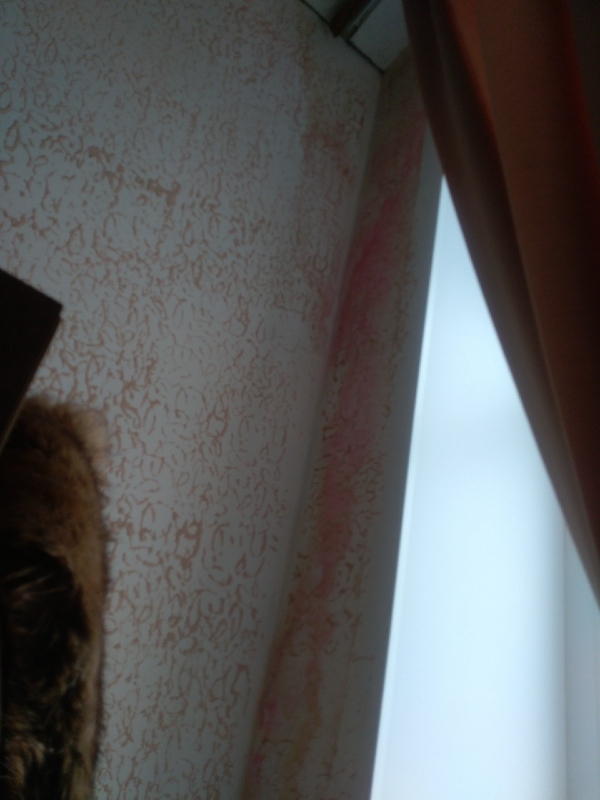 В Раскове залило школу после таяния снега на крыше