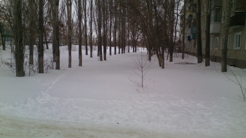 1 июня снег киров. пежо засыпанные снегом. зима следы. следы зайца беляка на снегу. следы от машины на снегу.