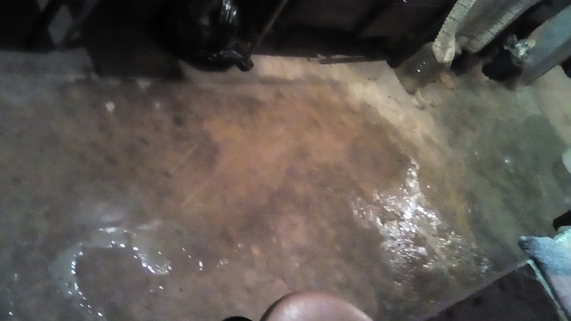 Жильцы саратовского общежития второй день тонут в помоях