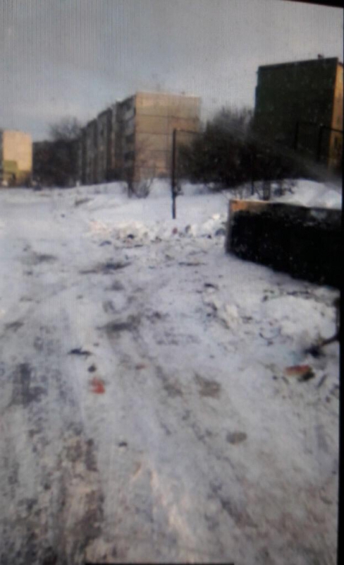 Мусоровывозящие компании самостоятельно расчищают от снега контейнерные площадки