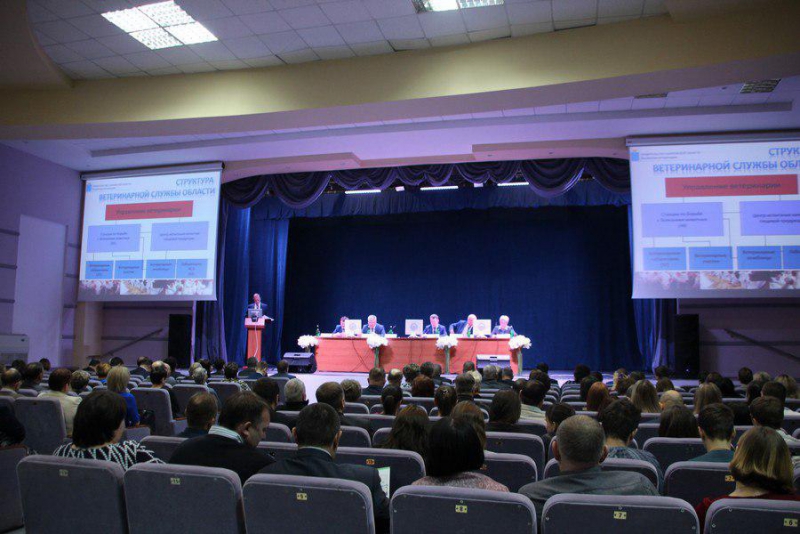 В Саратовской области призвали взять под контроль ветеринарные клиники