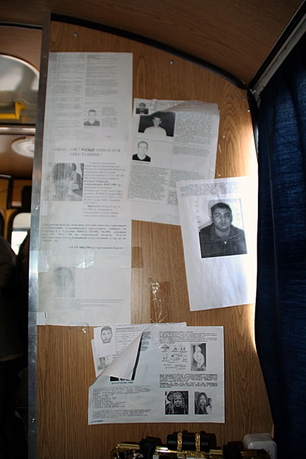 Вместо штрафов нарушителям ПДД демонстрировали поучительный фильм