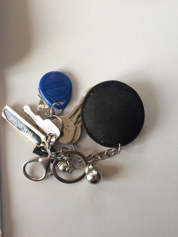 На Елшанской МПС обнаружены документы, банковские карты и ключи