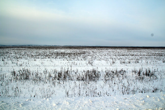 Юрий Моисеев презентовал новый аэропорт на багажнике служебного авто