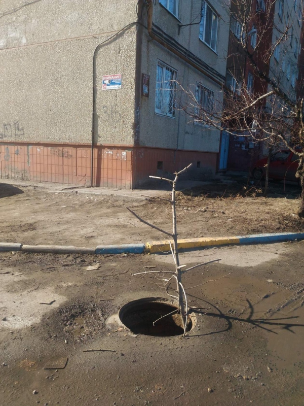 Открытый колодец возле десятиэтажки обозначили сухой веткой