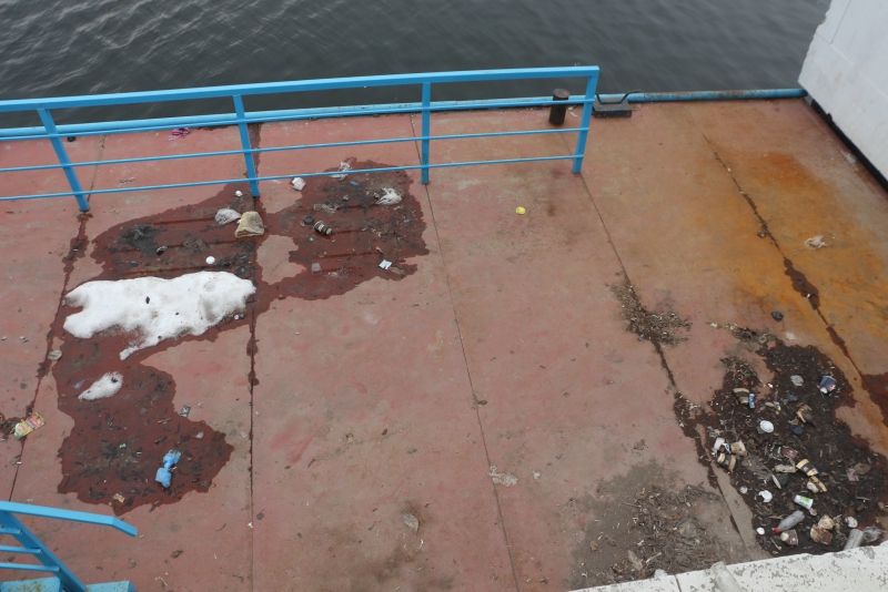 Участок набережной Саратова превратился в мусорную свалку