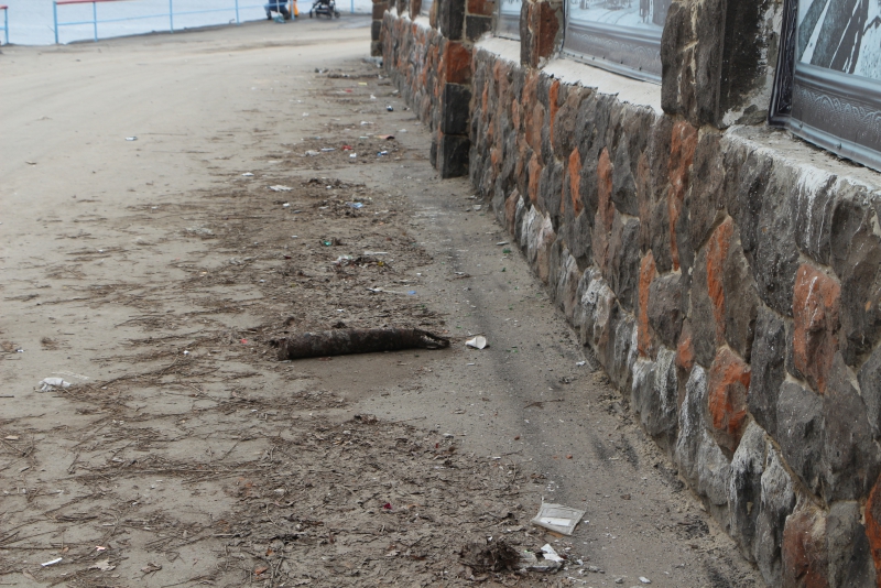 Участок набережной Саратова превратился в мусорную свалку