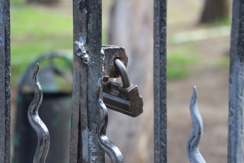 Парк «Липки» закрыли на ремонт до конца месяца